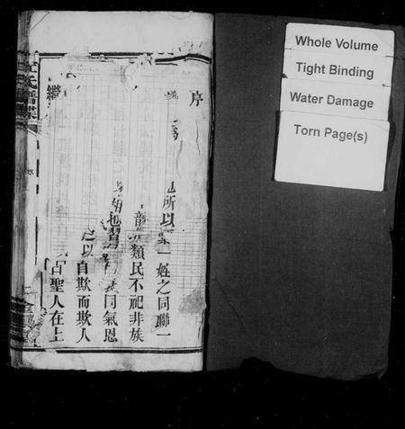 湖南杜氏族谱-杜氏谱牒[8卷].pdf电子版插图2