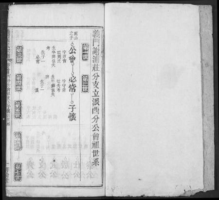 湖北陈氏族谱-义门陈氏宗谱.pdf电子版插图2