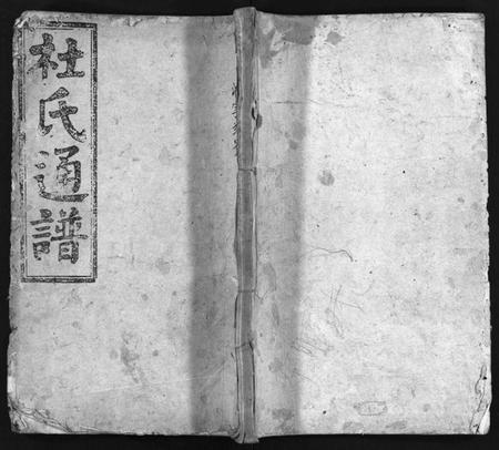 湖南杜氏族谱-杜氏通谱 [卷数不详].pdf电子版插图1