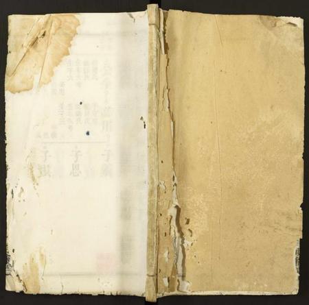 湖北陈氏族谱-义门陈氏宗谱.pdf电子版