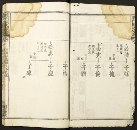 湖北陈氏族谱-义门陈氏宗谱.pdf电子版插图2