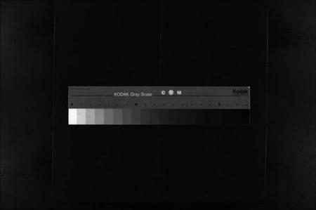 浙江吴氏族谱-埭川吴氏宗谱 [2卷].pdf电子版