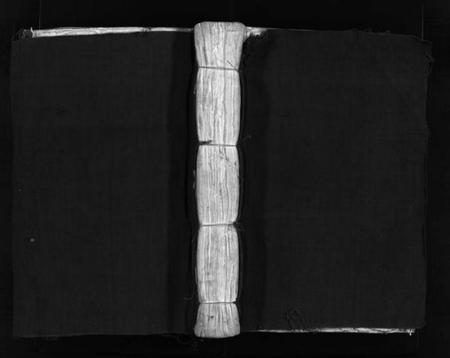 浙江吴氏族谱-埭川吴氏宗谱 [2卷].pdf电子版插图1