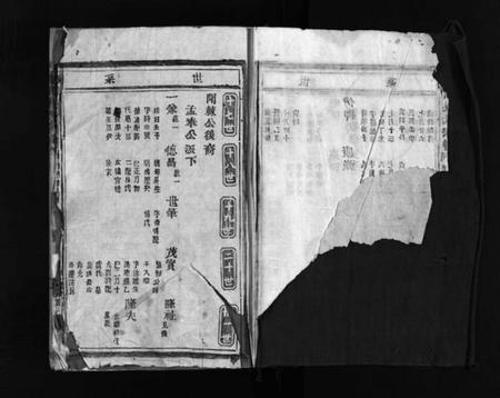 浙江吴氏族谱-埭川吴氏宗谱 [2卷].pdf电子版插图2