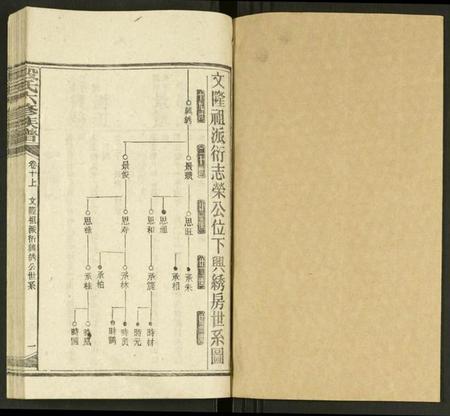 湖南段氏族谱-段氏六修族谱 [13卷及卷首4卷].pdf电子版插图1