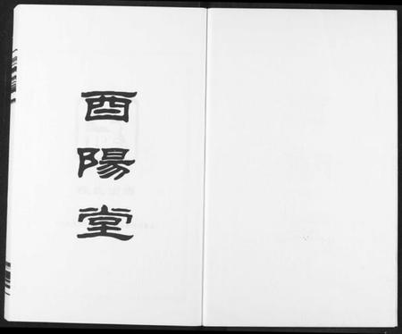 湖南段氏族谱-段氏族谱.pdf电子版插图2