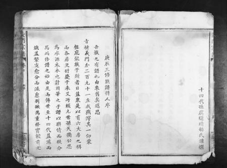 湖北陈氏族谱-义门陈氏宗谱[10卷首1卷].pdf电子版插图4