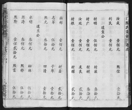 湖北陈氏族谱-义门陈氏宗谱[14卷首5卷].pdf电子版插图4