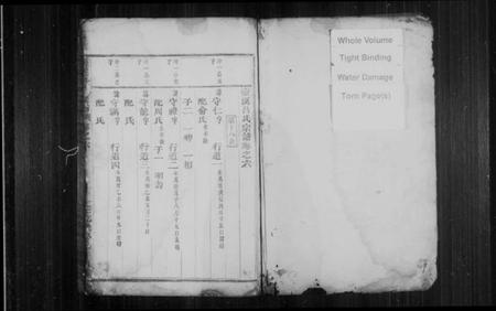 浙江吕氏族谱-壶溪吕氏宗谱 [残卷].pdf电子版插图2