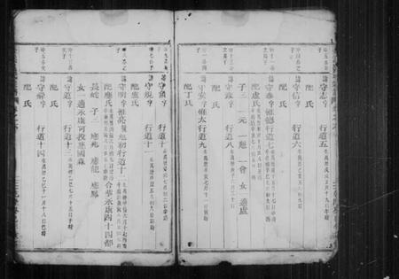 浙江吕氏族谱-壶溪吕氏宗谱 [残卷].pdf电子版插图3