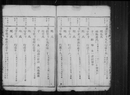 浙江吕氏族谱-壶溪吕氏宗谱 [残卷].pdf电子版插图4