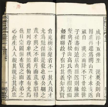 湖北陈氏族谱-义陈宗谱.pdf电子版插图4