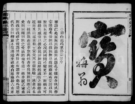 浙江张氏族谱-寿山张氏宗谱 [4卷].pdf电子版插图3