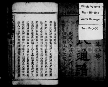 湖南方氏族谱-方氏通谱 [残卷](继金国三派合修).pdf电子版插图3