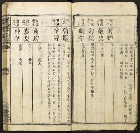 湖北陈氏族谱-[陈氏]旌表义门宗谱.pdf电子版插图3