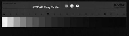 浙江王氏族谱-大塘王王氏宗谱.pdf电子版插图 浙江王氏族谱-大塘王王氏宗谱.pdf电子版插图