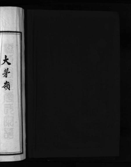 浙江李氏族谱-大茅岭李氏宗谱 [不分卷].pdf电子版插图2