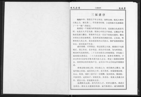 湖北陈氏族谱-陈氏宗谱.pdf电子版插图2