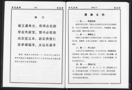 湖北陈氏族谱-陈氏宗谱.pdf电子版插图5