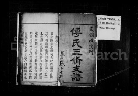 湖南傅氏族谱-傅氏三修支谱 [4卷].pdf电子版插图3