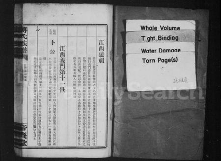 湖南傅氏族谱-傅氏族谱 [卷数不全].pdf电子版插图2