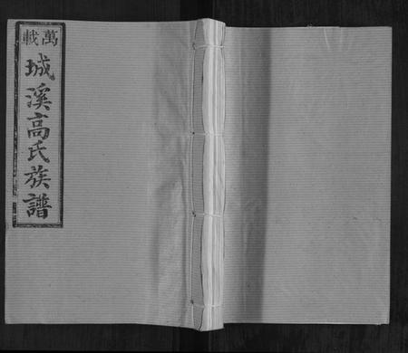 湖南高氏族谱-城溪高氏族谱[10卷].pdf电子版