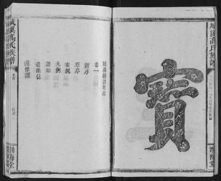 湖南高氏族谱-城溪高氏族谱[10卷].pdf电子版插图4