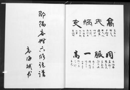 湖南高氏族谱-邵阳高姓六修宗谱.pdf电子版插图4