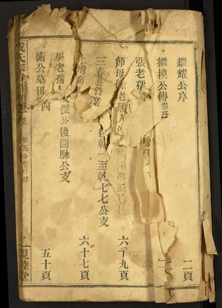 湖北成氏族谱-成氏宗谱.pdf电子版插图1