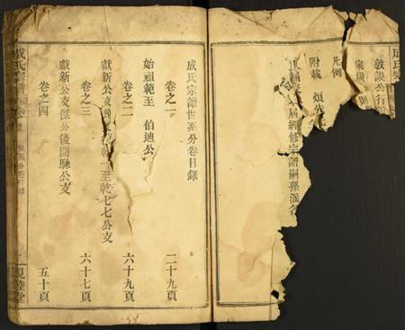 湖北成氏族谱-成氏宗谱.pdf电子版插图3