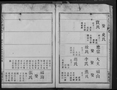 湖北成氏族谱-成氏宗谱.pdf电子版插图4