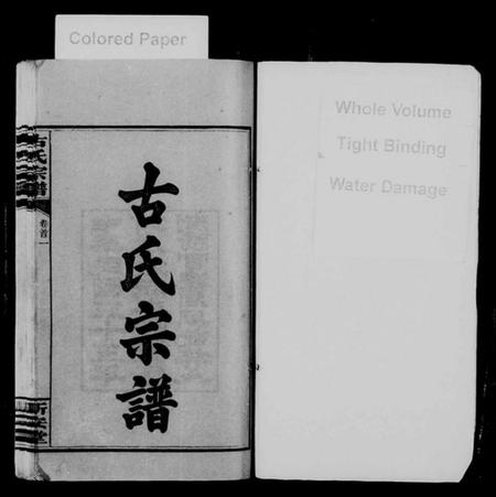 湖南古氏族谱-古氏宗谱 [8卷,首4卷].pdf电子版插图2