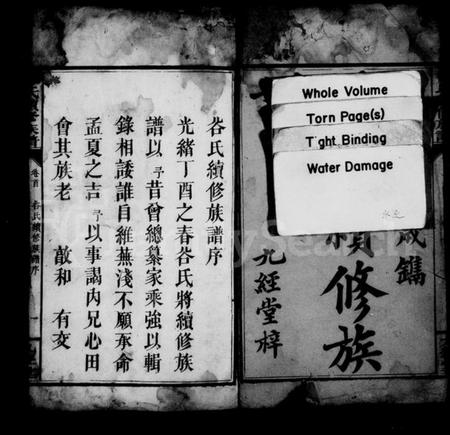 湖南谷氏族谱-谷氏续修族谱 [7卷,及卷首].pdf电子版插图3