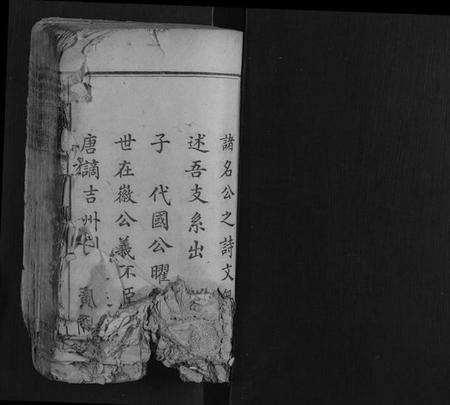 湖南郭氏族谱-大湄郭氏续修族谱[14卷首2卷].pdf电子版插图1