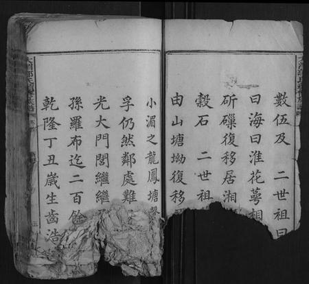 湖南郭氏族谱-大湄郭氏续修族谱[14卷首2卷].pdf电子版插图4