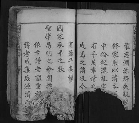 湖南郭氏族谱-大湄郭氏续修族谱[14卷首2卷].pdf电子版插图5