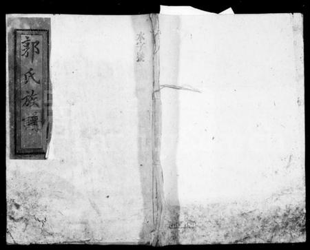 湖南郭氏族谱-郭氏族谱 [13卷,首2卷].pdf电子版插图1