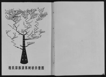 湖北程氏族谱-程氏宗谱.pdf电子版插图2