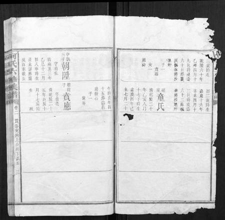 湖南何氏族谱-何氏六修族谱.pdf电子版插图2