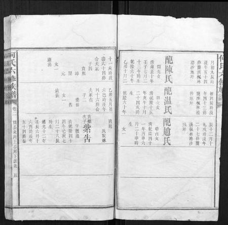 湖南何氏族谱-何氏六修族谱.pdf电子版插图4