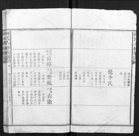 湖南何氏族谱-何氏六修族谱.pdf电子版插图5