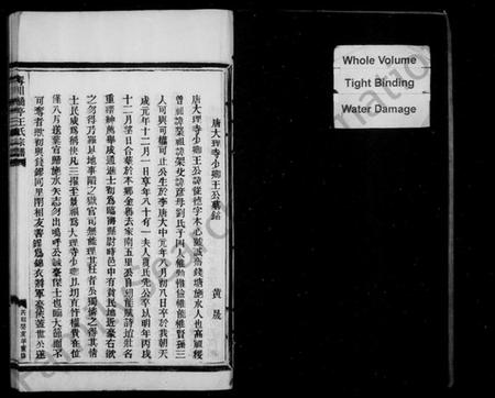 浙江王氏族谱-宁川桥亭王氏宗谱.pdf电子版插图4