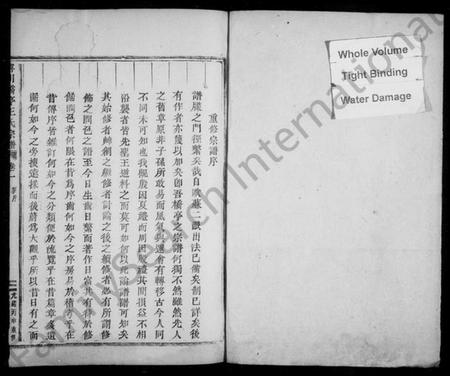 浙江王氏族谱-宁川桥亭王氏宗谱 [9卷].pdf电子版插图2