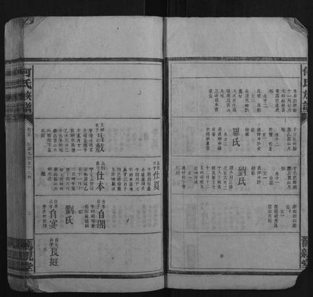 湖南何氏族谱-何氏族谱.pdf电子版插图3 湖南何氏族谱-何氏族谱.pdf电子版插图3