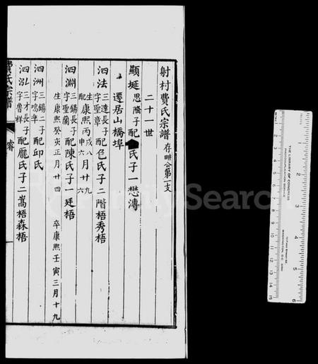 浙江费氏族谱-射村费氏宗谱.pdf电子版插图1