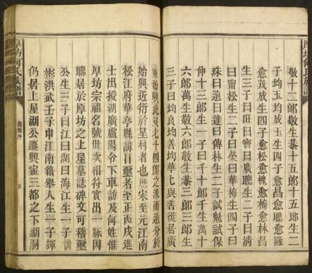 湖南何氏族谱-厚坊何氏族谱.pdf电子版插图4 湖南何氏族谱-厚坊何氏族谱.pdf电子版插图4