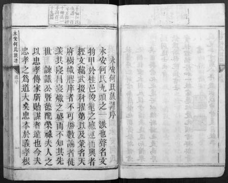 湖南何氏族谱-永安何氏族谱[10册].pdf电子版插图4