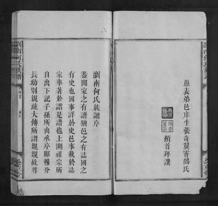 湖南何氏族谱-浏南何氏族谱[5卷,首1卷].pdf电子版插图4