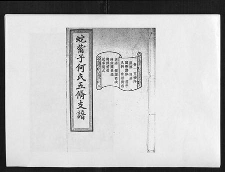 湖南何氏族谱-蛇觜子何氏五修支谱 [16卷].pdf电子版