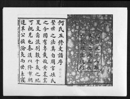 湖南何氏族谱-蛇觜子何氏五修支谱 [16卷].pdf电子版插图2